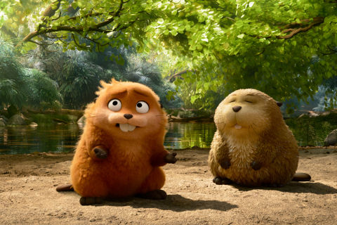 Jumpers (NL) Jumpers (NL)